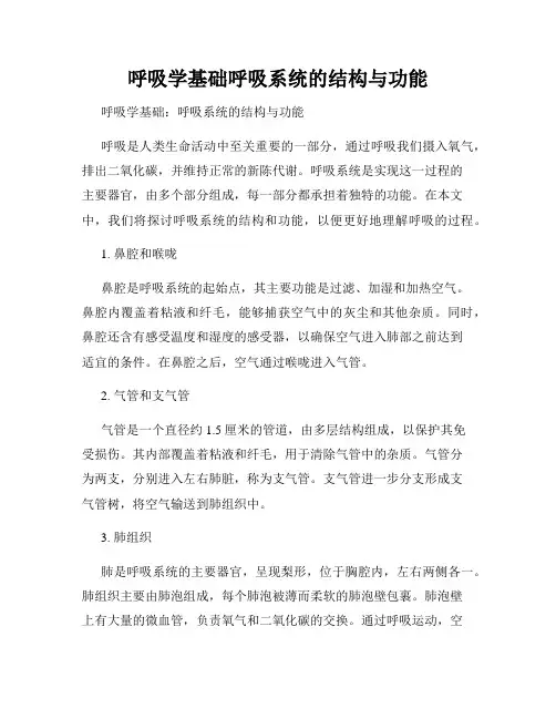 呼吸学基础呼吸系统的结构与功能