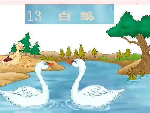 白鹅公开课课件第二课时
