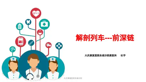 解剖列车前深线