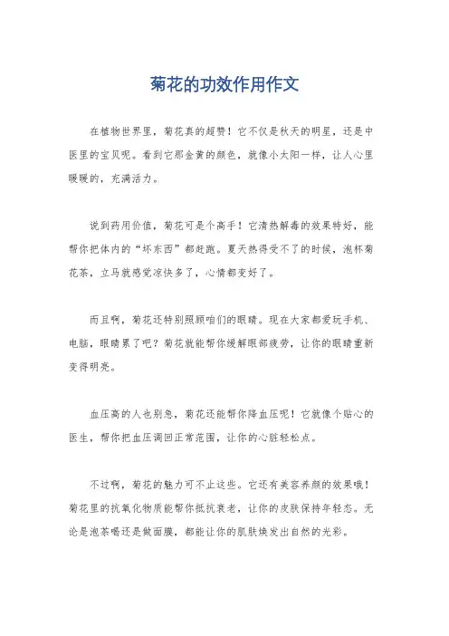 菊花的功效作用作文