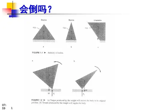 人体静力学与平衡解析课件