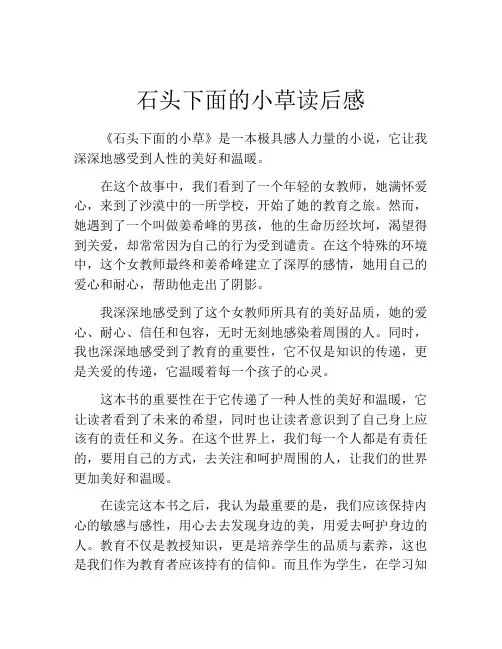石头下面的小草读后感