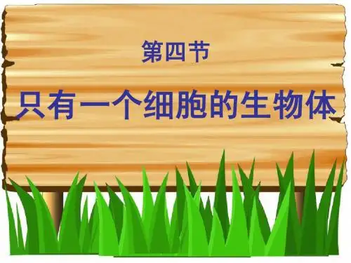一个细胞的生物(单细胞生物)