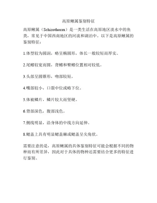 高原鳅属鉴别特征