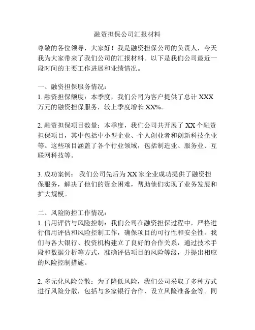 融资担保公司汇报材料