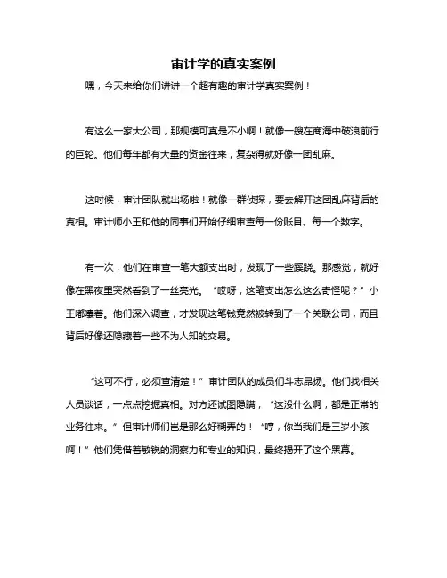 审计学的真实案例