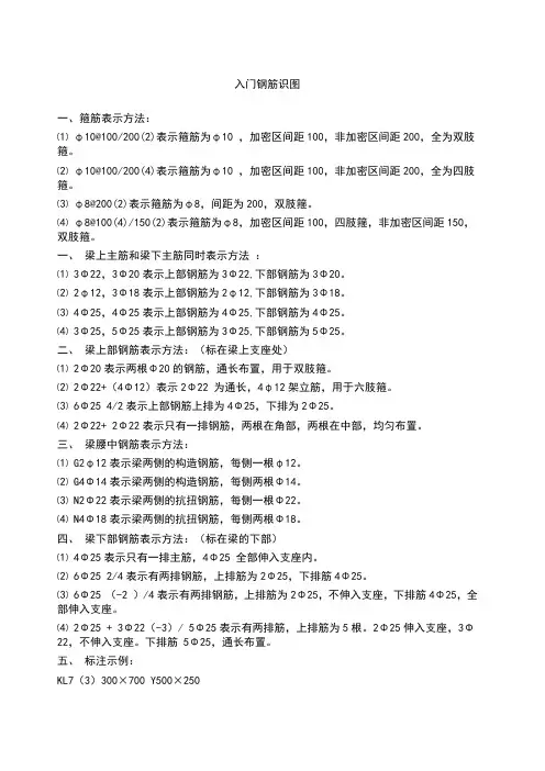 钢筋入门识图讲解