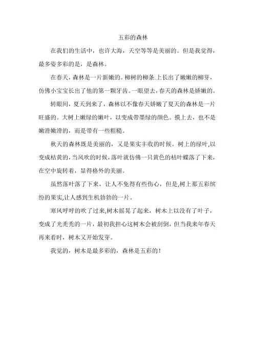 五彩的森林作文三年级