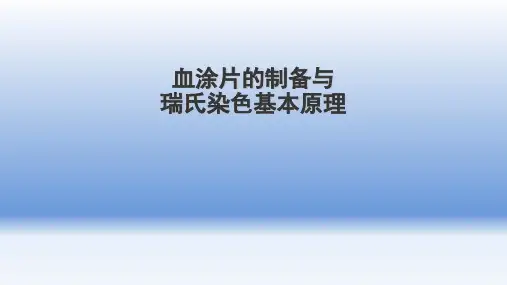 血涂片的制备与染色-PPT课件