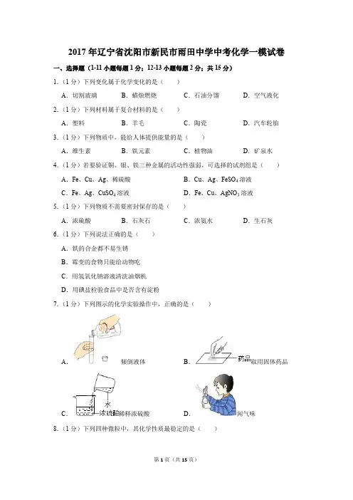 2017年辽宁省沈阳市新民市雨田中学中考化学一模试卷(解析版)