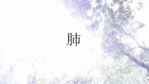病理学实验考(大体标本图片)