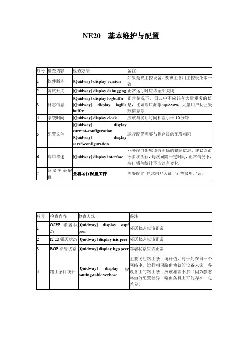 NE20  基本维护与配置