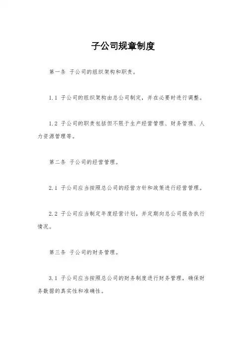 子公司规章制度