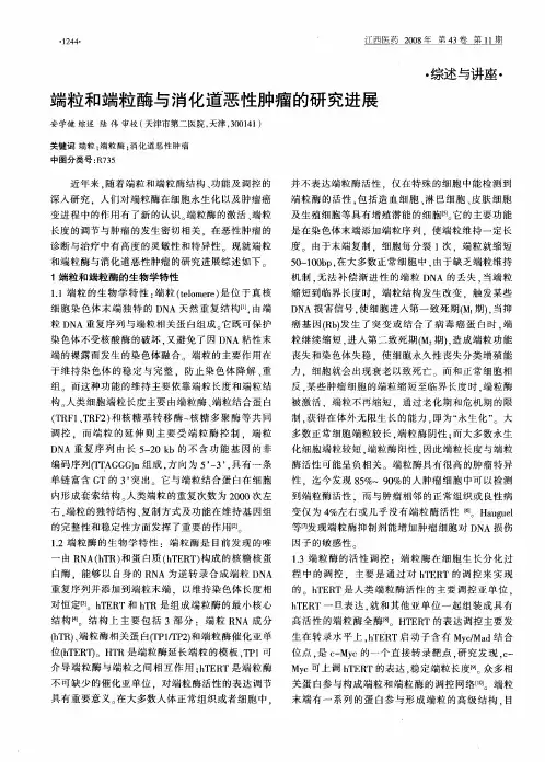 端粒和端粒酶与消化道恶性肿瘤的研究进展