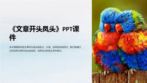 《文章开头凤头》课件