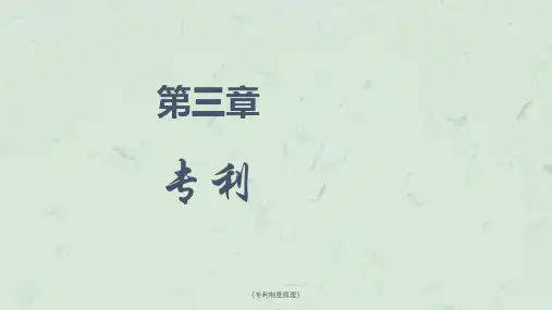 《专利制度原理》课件