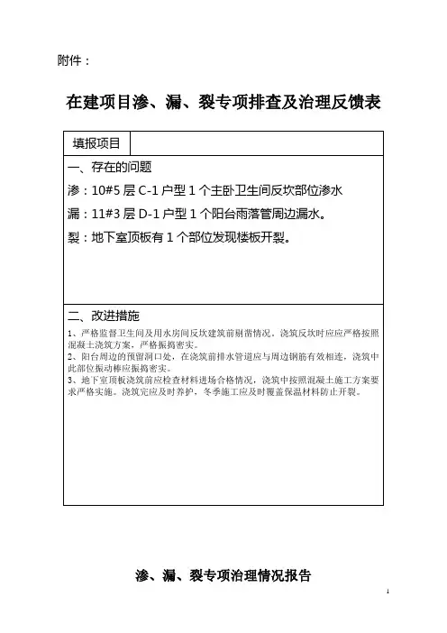 渗、漏、裂专项排查及治理反馈表及报告
