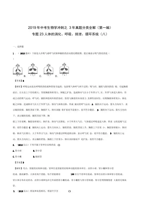专题24人体的消化、呼吸、排泄、循环系统(八)(解析版)