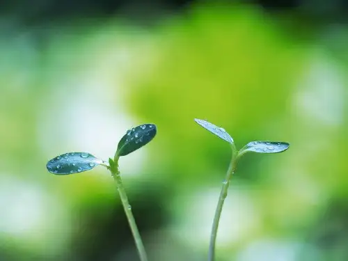 《四季的脚步》精品课件
