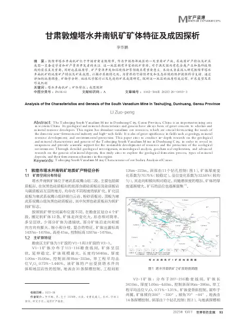 甘肃敦煌塔水井南钒矿矿体特征及成因探析