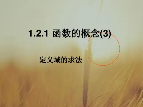 四川省开江县任市中学高中必修一数学课件：1.2.1 函数的概念3 精品