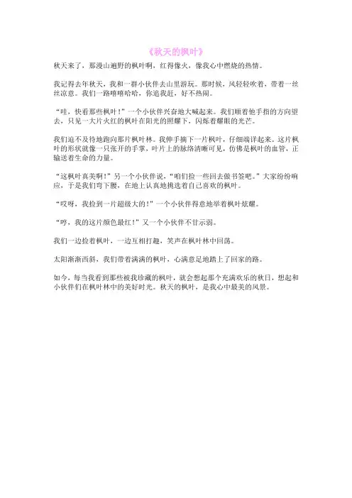 《秋天的枫叶》