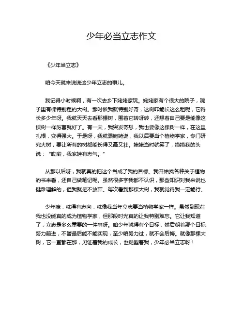 少年必当立志作文