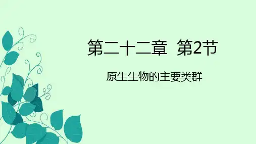 22.2原生生物的主要类群课件2023--2024学年北师大版生物八年级下册
