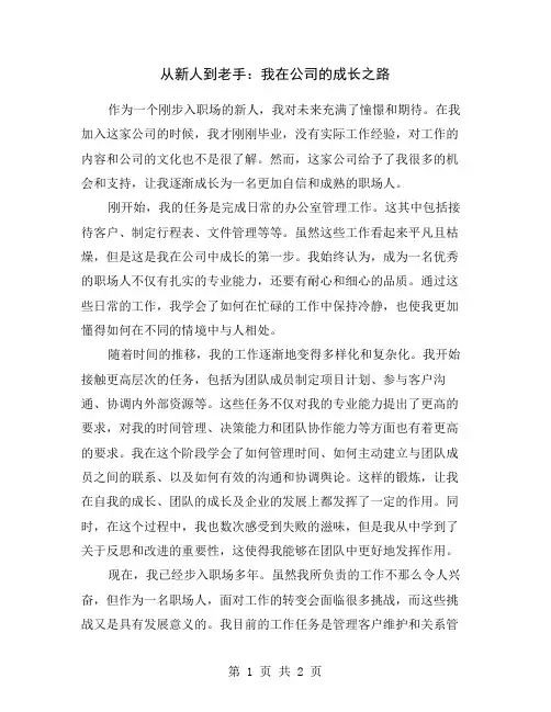 从新人到老手：我在公司的成长之路