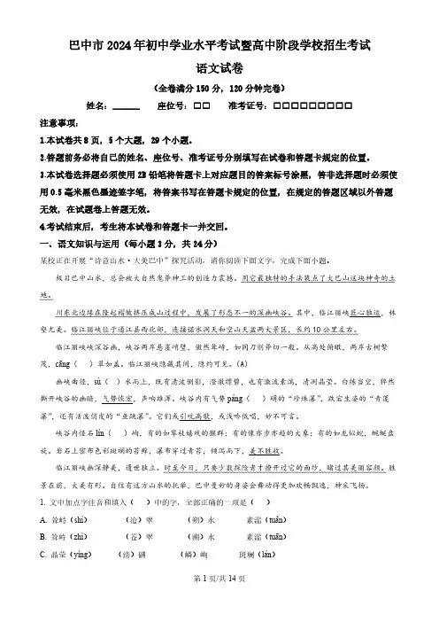 2024年四川省巴中市中考语文真题