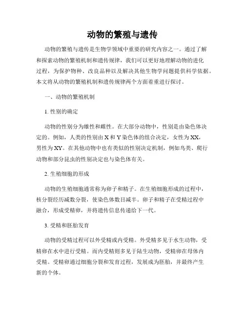 动物的繁殖与遗传