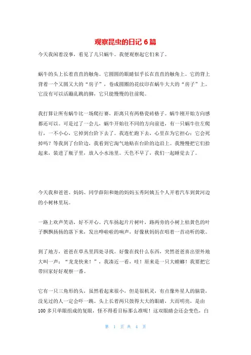 观察昆虫的日记6篇