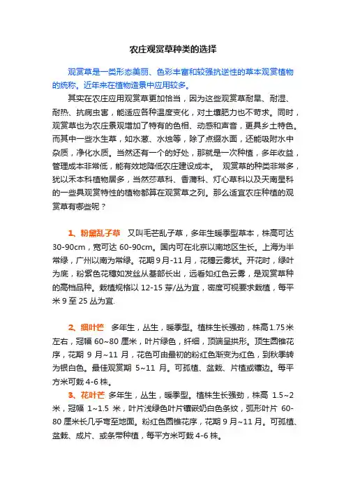 农庄观赏草种类的选择