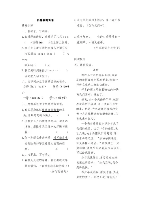 小学六年级语文 白桦林的低语