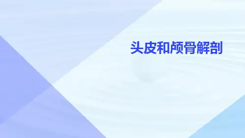(医学课件)头皮和颅骨解剖