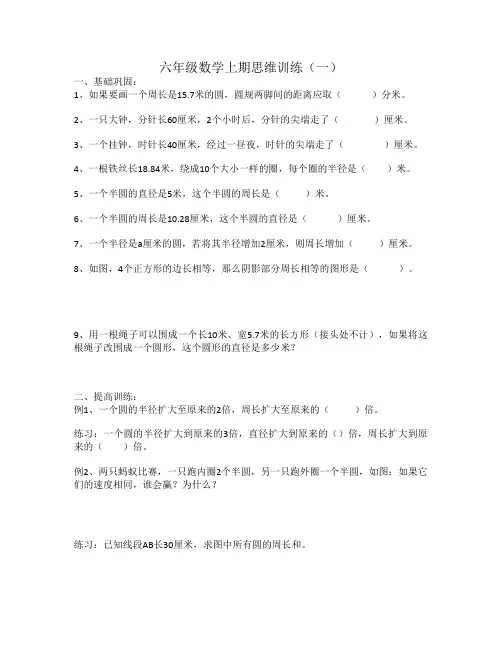 六年级数学上期思维训练1