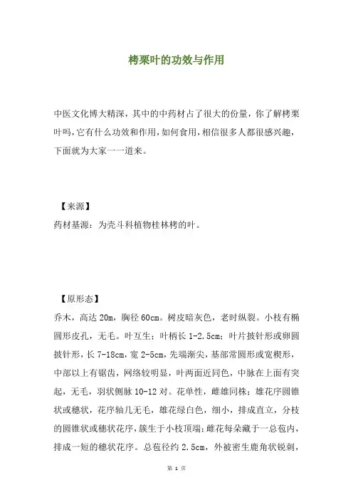 栲栗叶的功效与作用