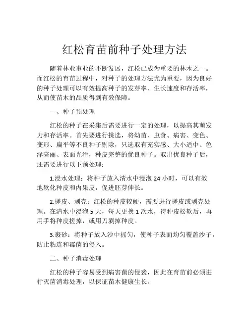红松育苗前种子处理方法