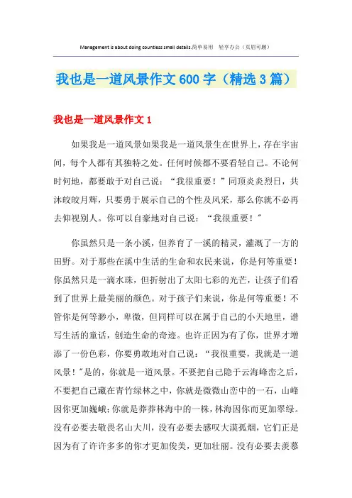 我也是一道风景作文600字(精选3篇)