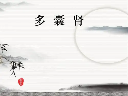 多囊肾PPT课件
