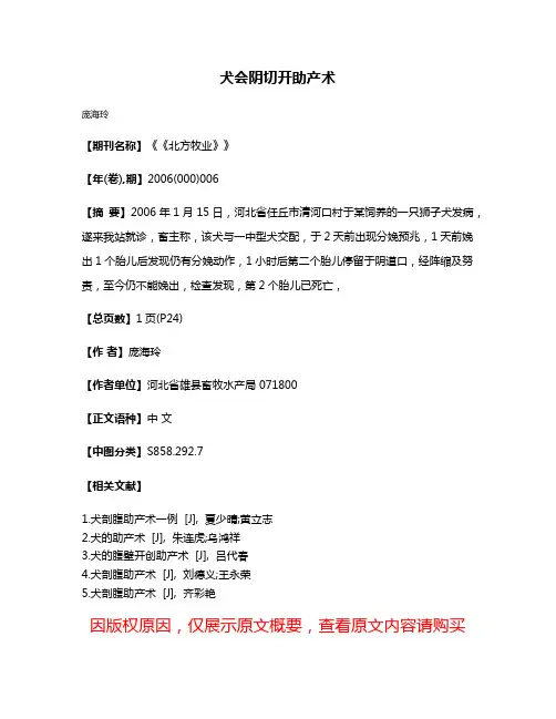 犬会阴切开助产术