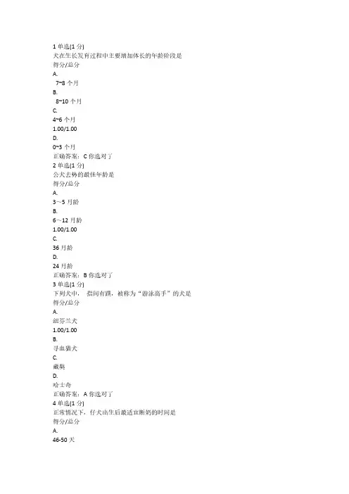 宠物犬鉴赏