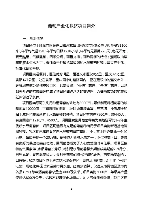 红花岗葡萄产业化扶贫项目简介doc