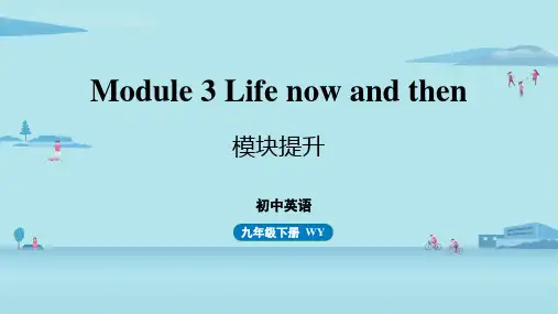外研版九下英语 Module 3 Life now and then 作文写作课