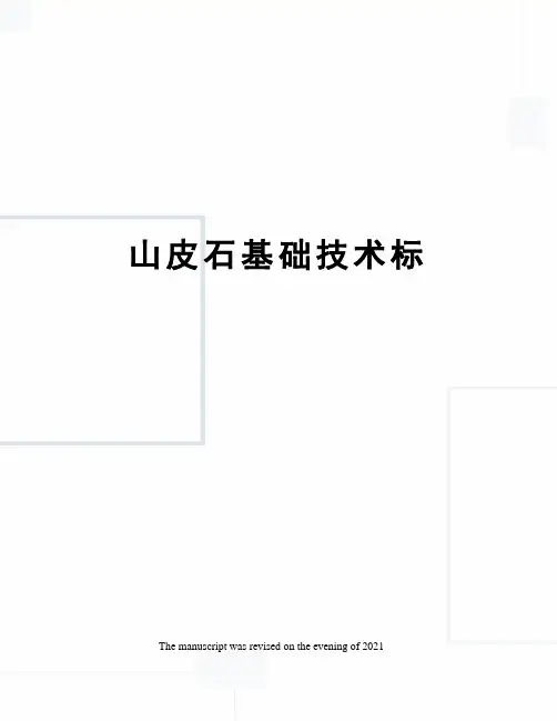 山皮石基础技术标