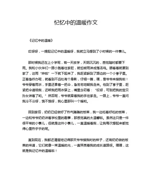 忋忆中的温暖作文