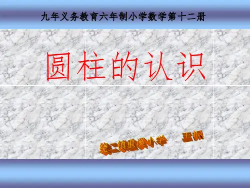 圆柱的认识说课(课堂PPT)