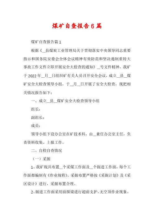 煤矿自查报告6篇
