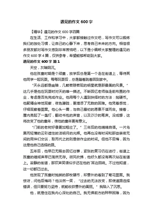 【精华】遇见的作文600字四篇