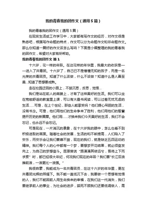 我的青春我的团作文（通用5篇）